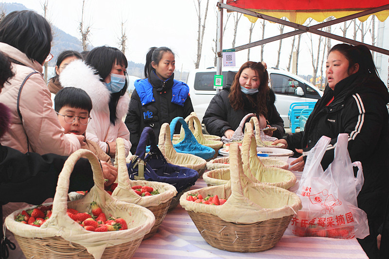 ��ݮ�h��c�´� | ���f�(zh��n)��ɽ�ڲ�ݮ��ժ��(l��)Ȥ���������w�(y��n)�e����ζ