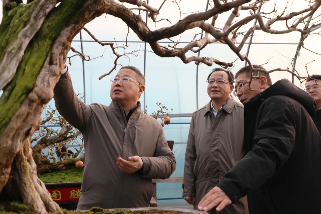 ���f��ί����ӛ������ί��ӛ����(gu��)�ށ�(l��i)�F�ǅ^(q��)�{(di��o)��ʯ��a(ch��n)�I(y��)�l(f��)չ����